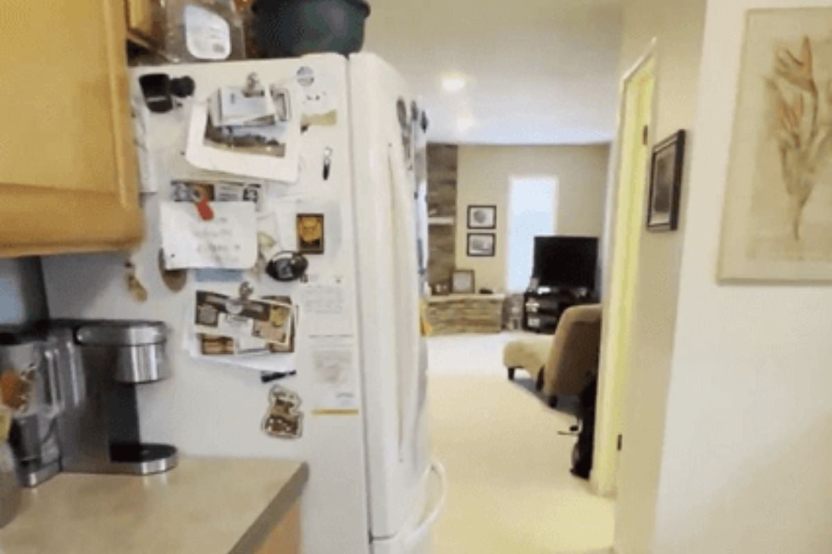 unfinished kitchen near Padgett Park Natural Area DeWitt Michigan