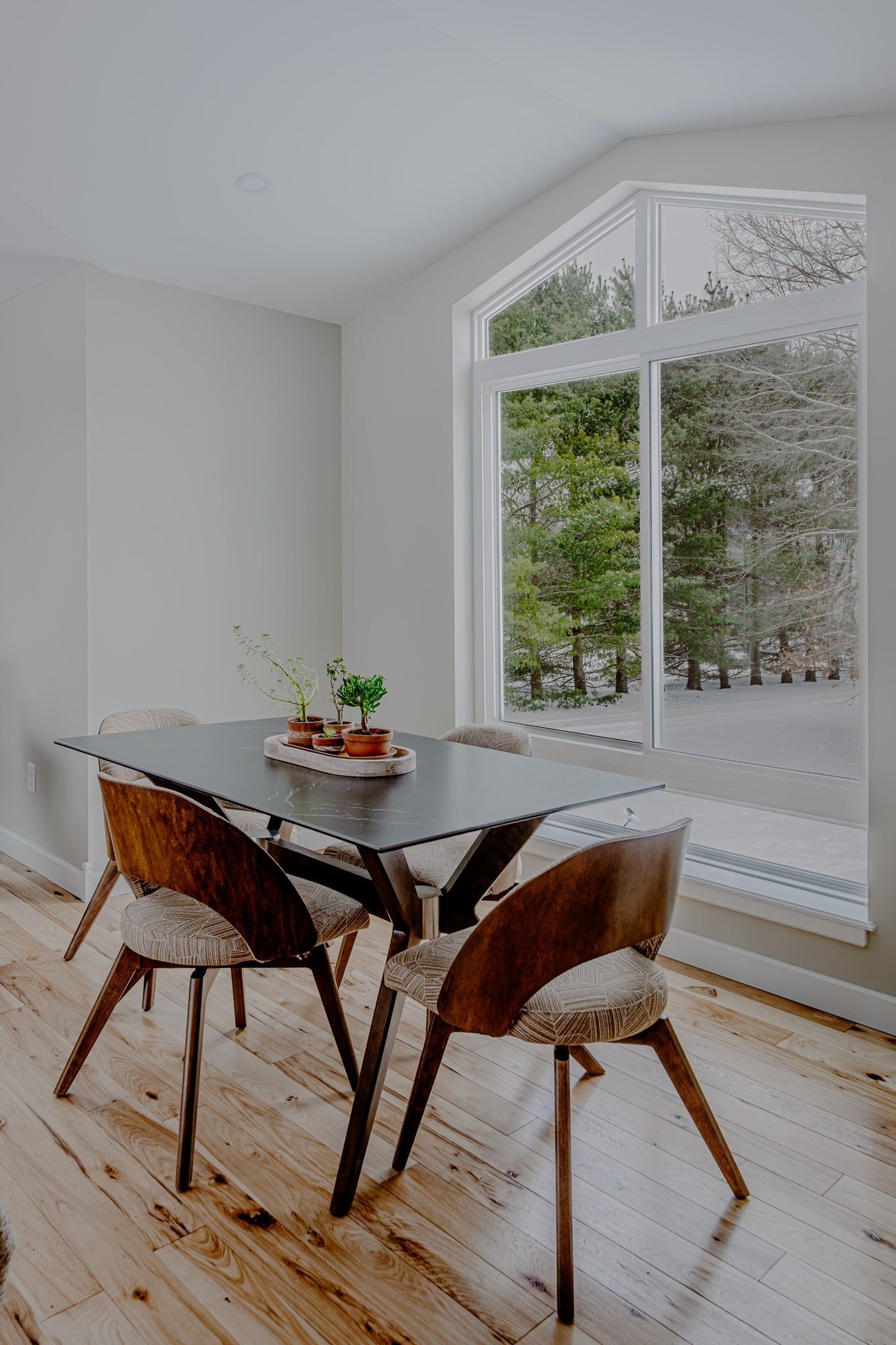 Satterelli Interior Remodel